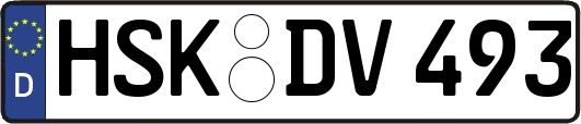 HSK-DV493