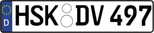 HSK-DV497