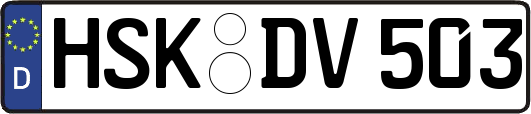 HSK-DV503