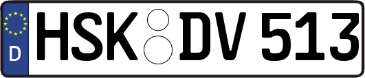 HSK-DV513