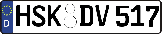 HSK-DV517