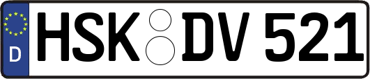 HSK-DV521