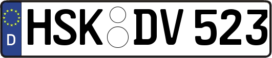 HSK-DV523
