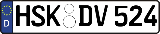 HSK-DV524