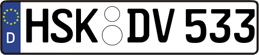 HSK-DV533