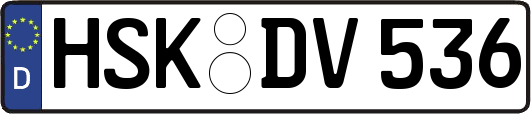 HSK-DV536