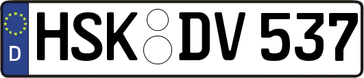 HSK-DV537