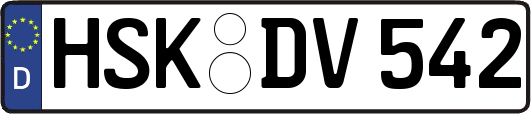 HSK-DV542