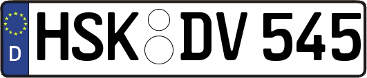 HSK-DV545