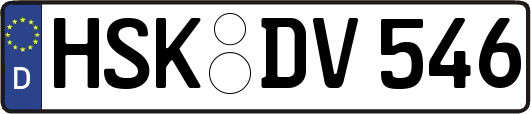 HSK-DV546