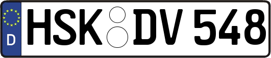 HSK-DV548