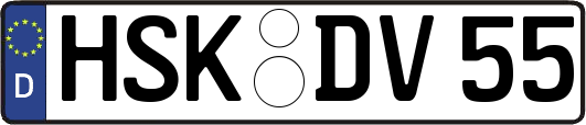 HSK-DV55
