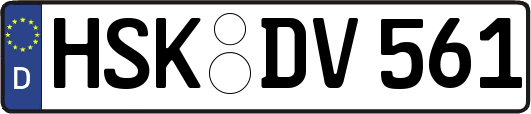 HSK-DV561