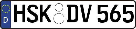 HSK-DV565