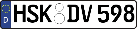 HSK-DV598