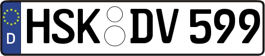 HSK-DV599