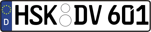HSK-DV601