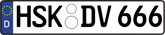 HSK-DV666
