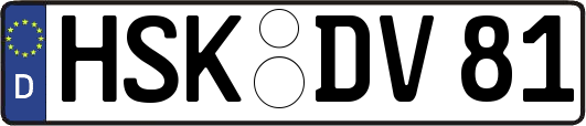 HSK-DV81
