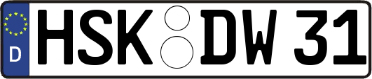 HSK-DW31