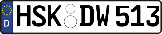 HSK-DW513