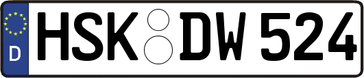 HSK-DW524