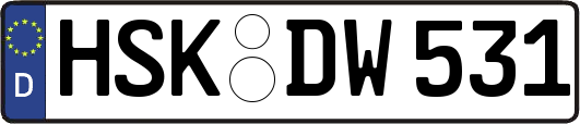 HSK-DW531