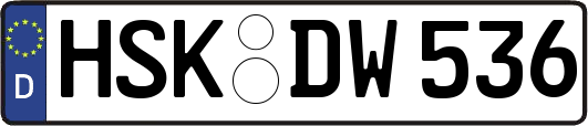 HSK-DW536