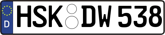 HSK-DW538