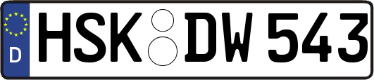 HSK-DW543