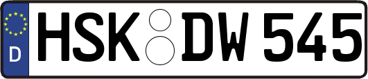 HSK-DW545