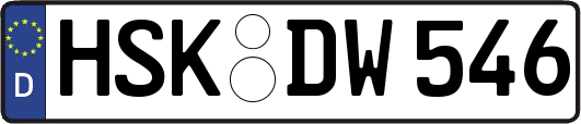 HSK-DW546