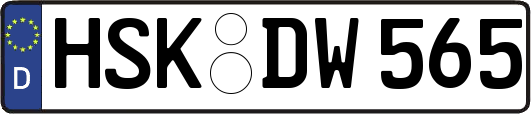 HSK-DW565