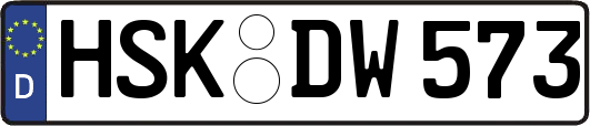 HSK-DW573