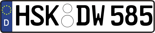 HSK-DW585