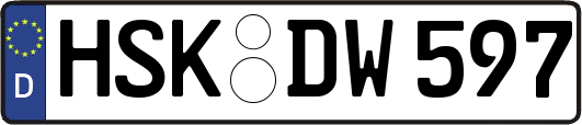 HSK-DW597