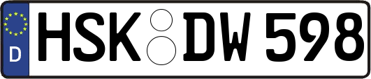 HSK-DW598