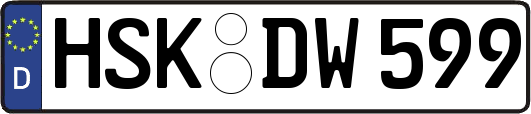 HSK-DW599