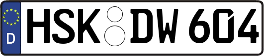HSK-DW604