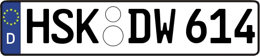 HSK-DW614