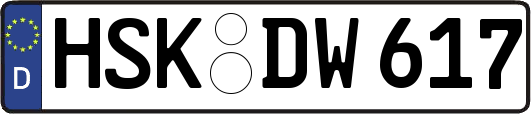 HSK-DW617