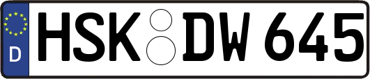 HSK-DW645