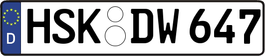 HSK-DW647