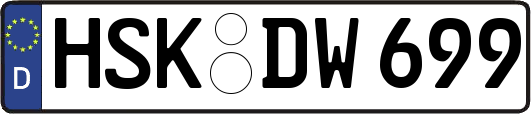 HSK-DW699