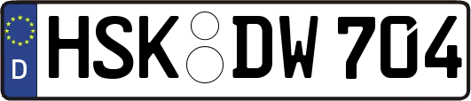 HSK-DW704