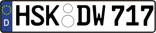 HSK-DW717