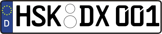 HSK-DX001