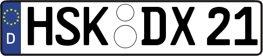 HSK-DX21
