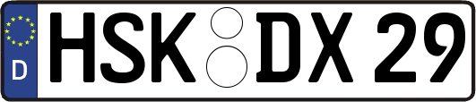 HSK-DX29