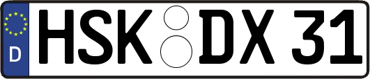 HSK-DX31